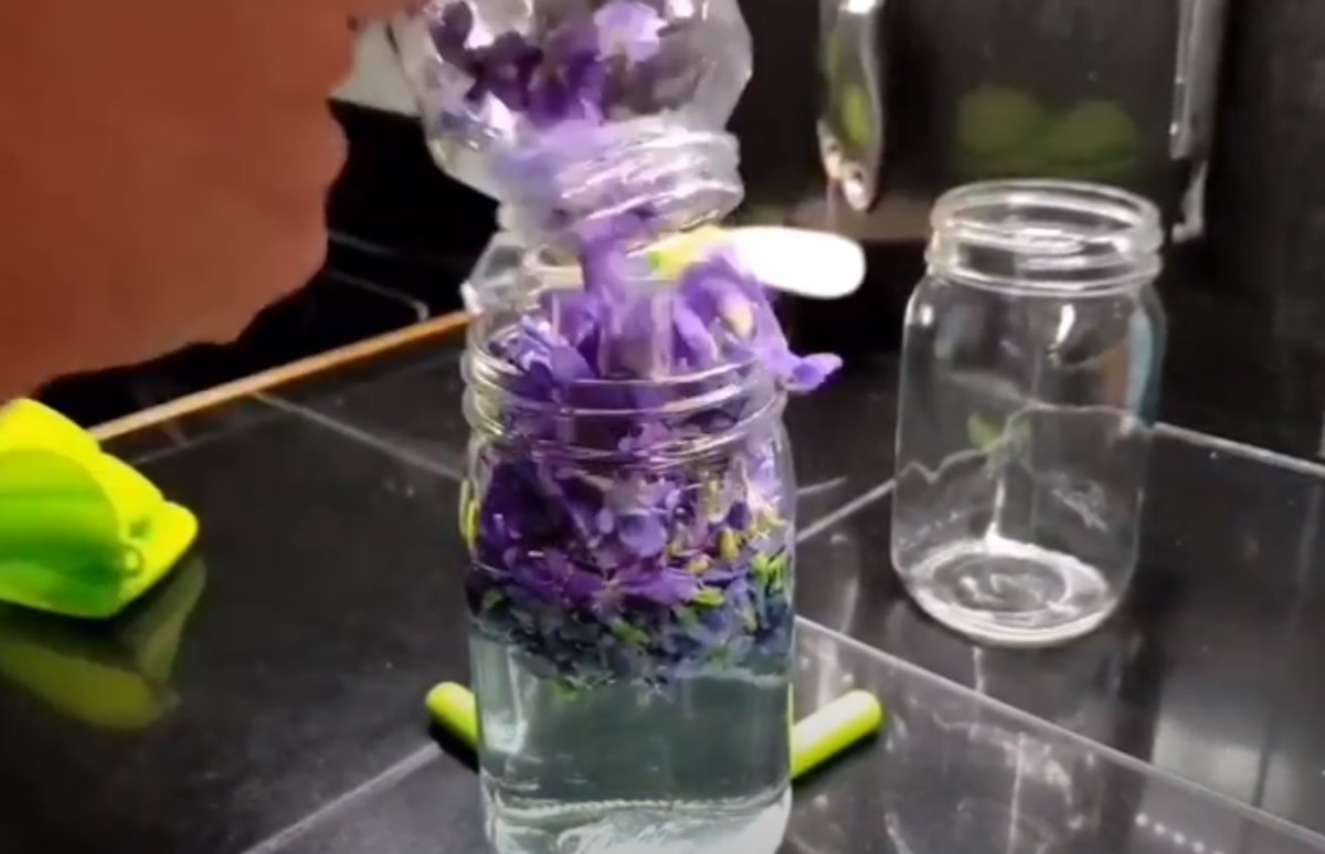 Čaj od ljubičice za grlo