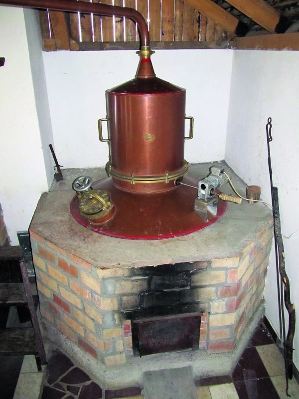 Srpski vinari: timski duh porodice Lukić