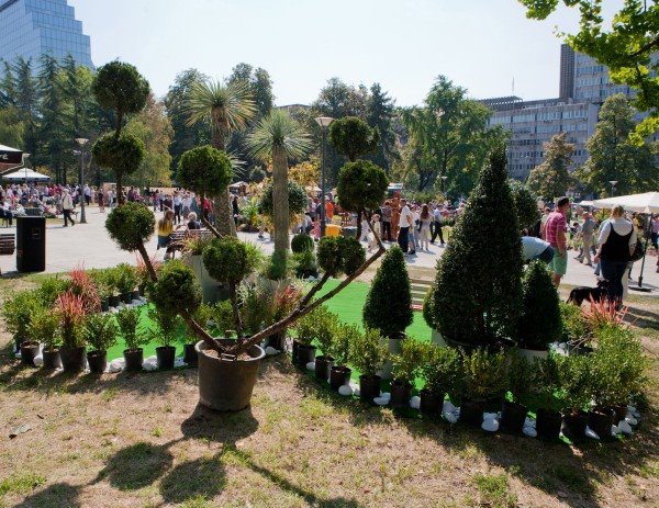 Beogradski festival cveća 2013.
