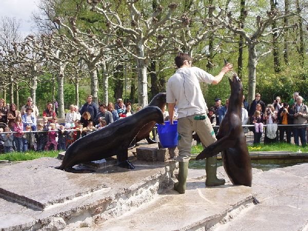 Egzotični zoo vrtovi