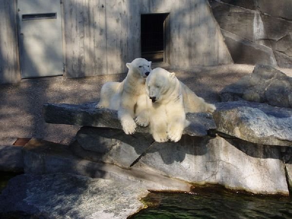 Egzotični zoo vrtovi