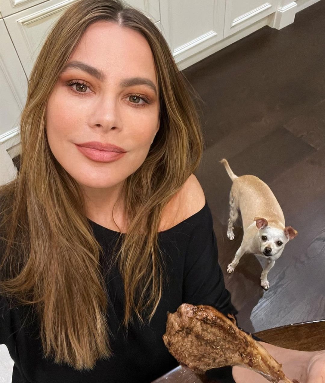 sofija vergara 4.jpg