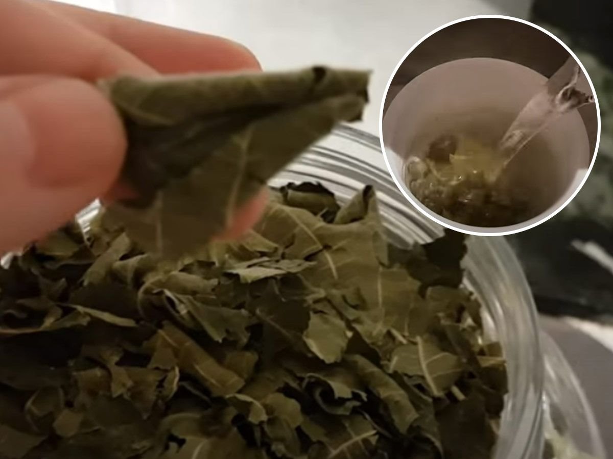 Čaj od smokve snižava šećer u krvi