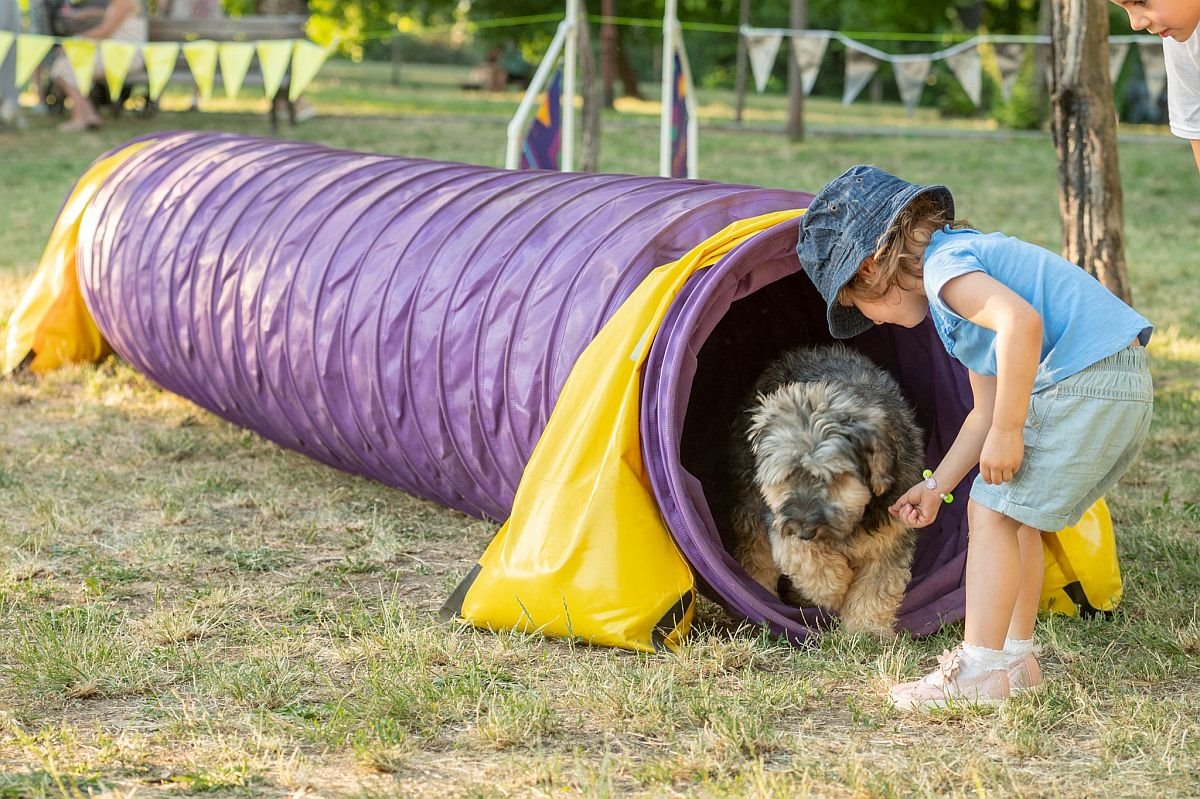 festival ulicni psi 10.jpg