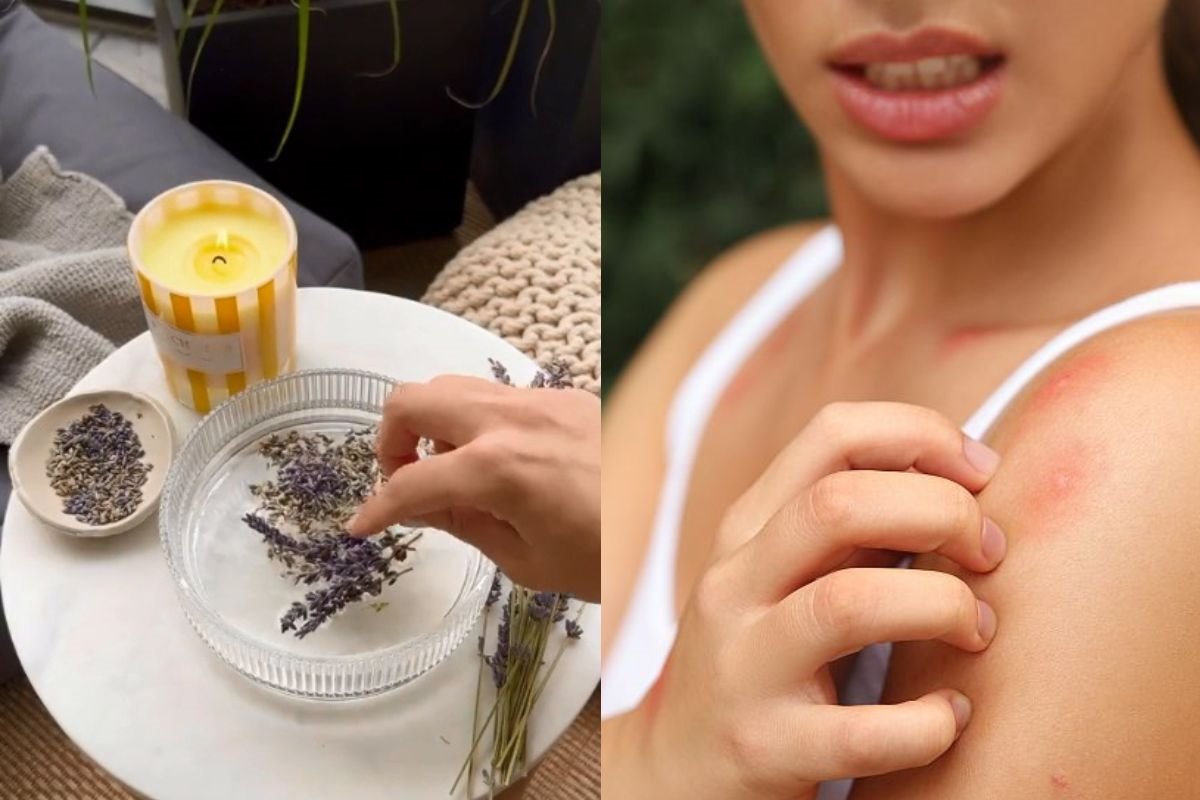 sredstvo protiv komaraca