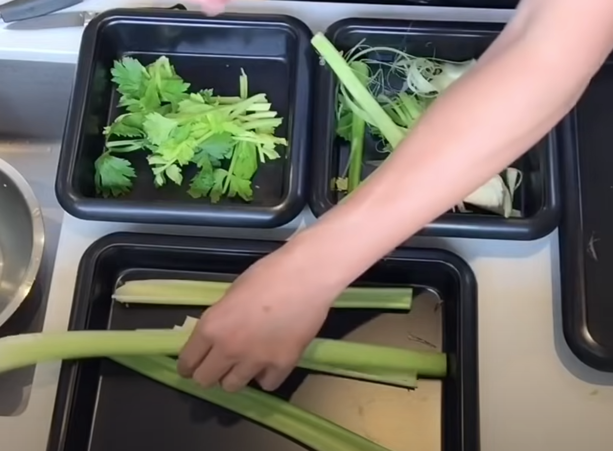 Koje vitamine sadrži celer