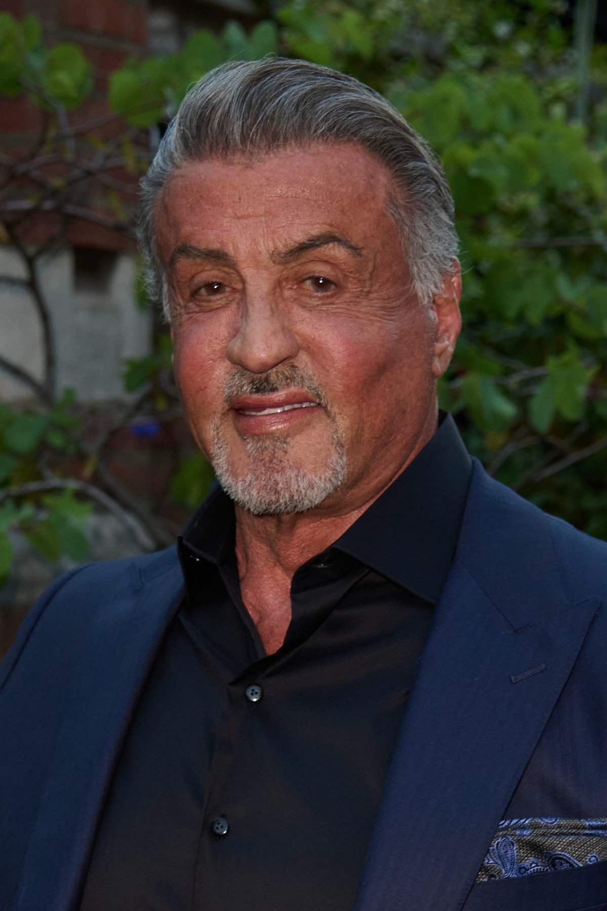 silvester stalone roki