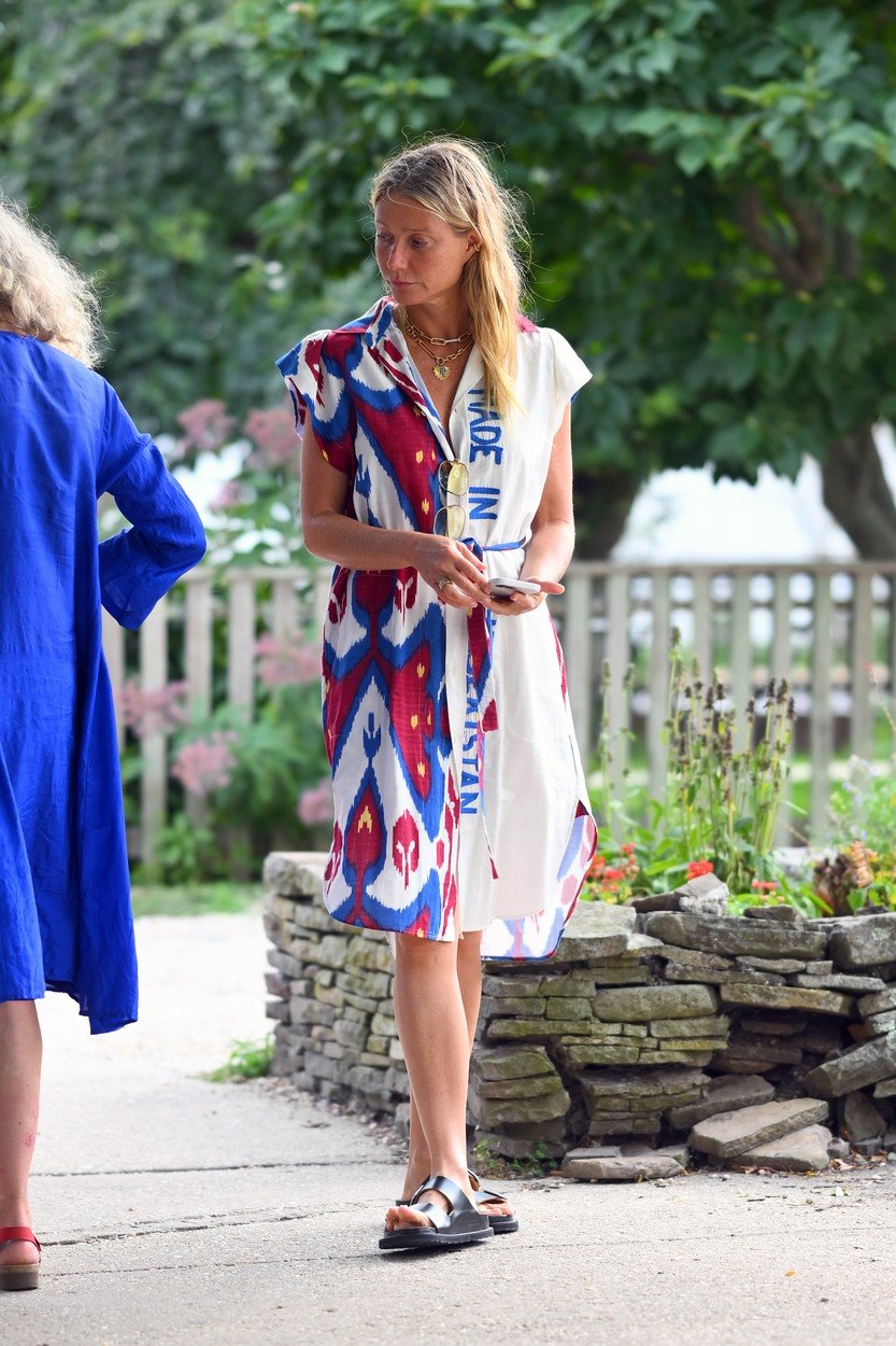 Gvinet Paltrou puni 50 godina