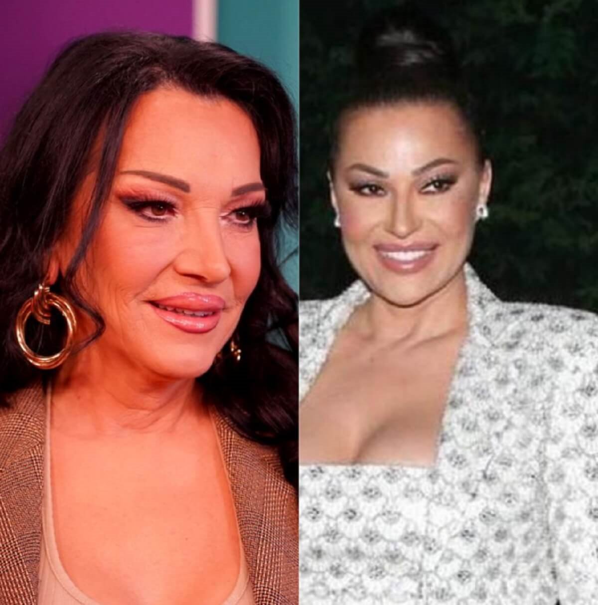 Goca Božinovska, Ceca Ražnatović