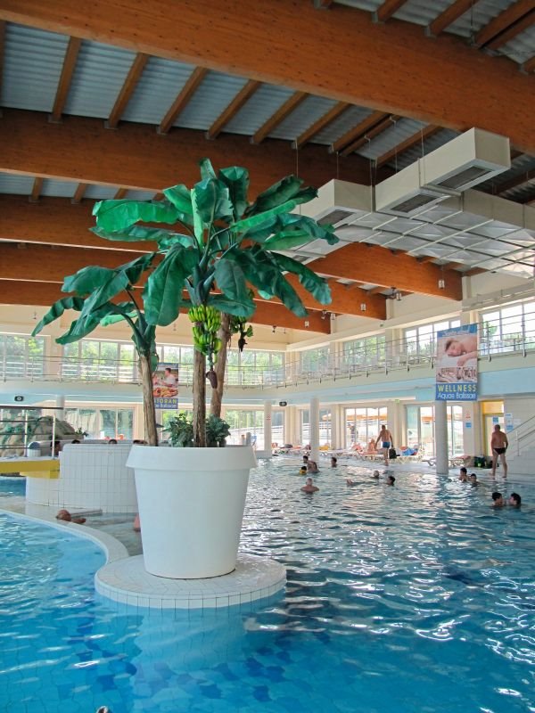 Lekovita vrela Daruvara