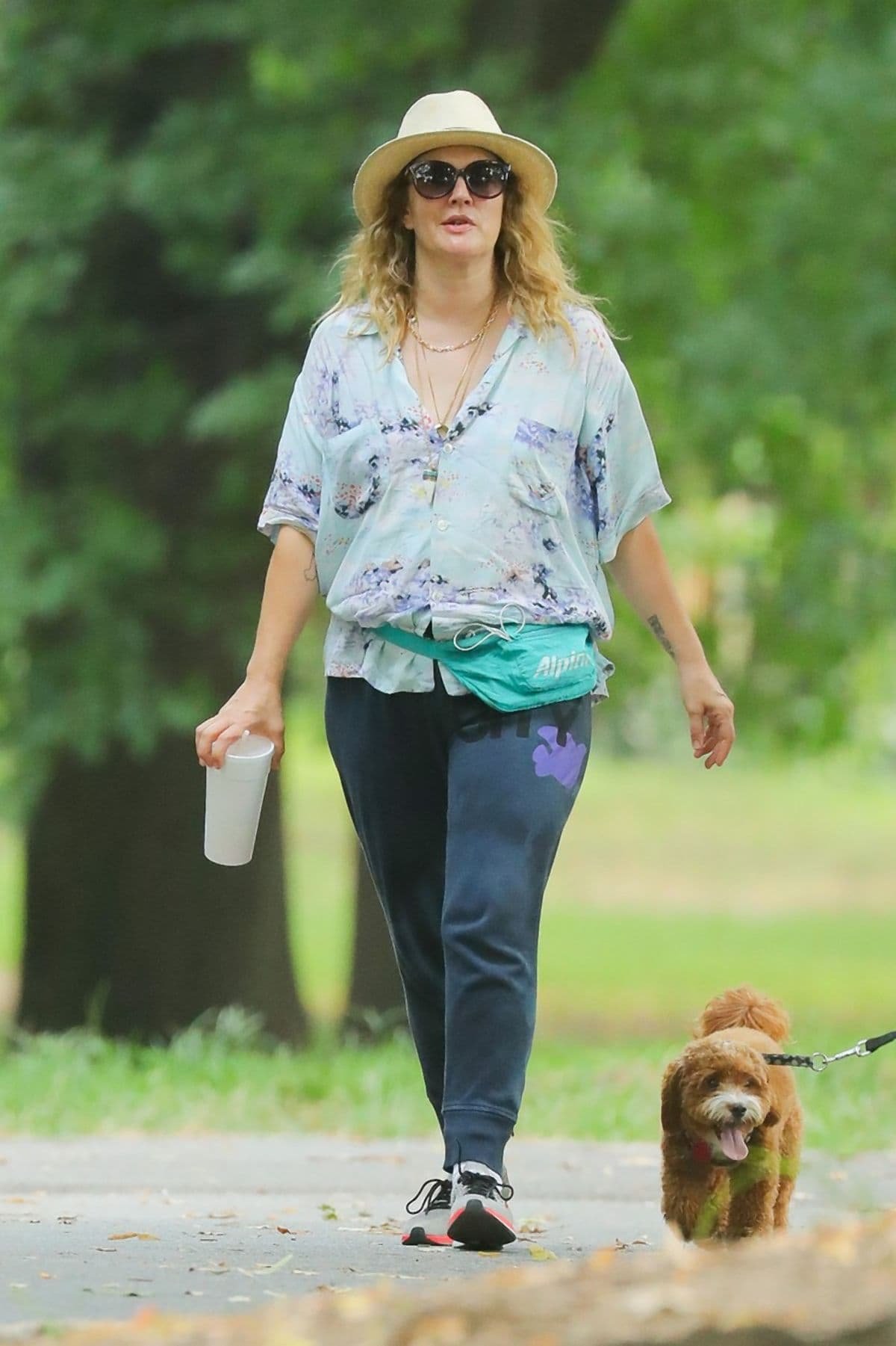 dru barimor 005-min.jpg