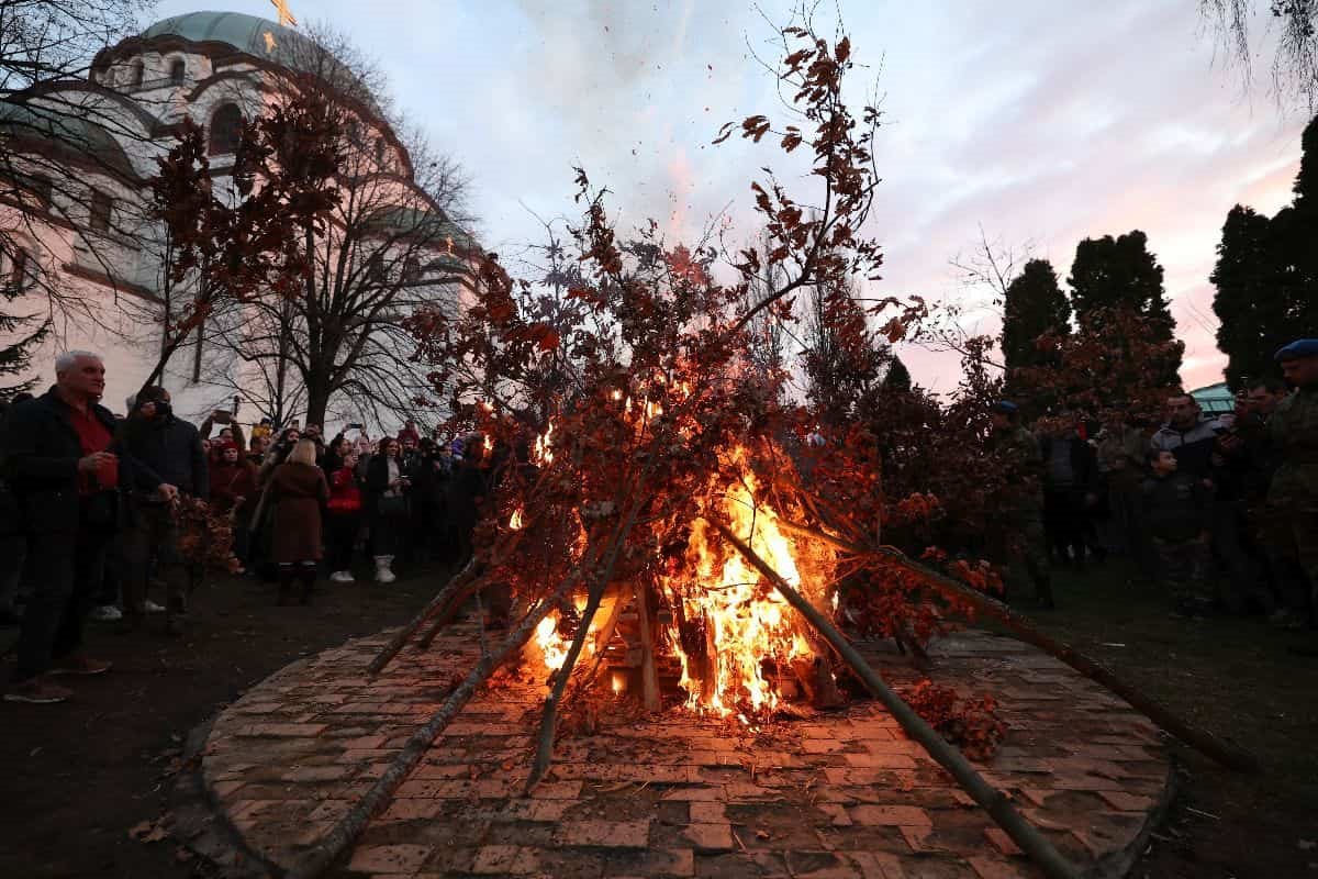 badnjak pred hramom svetog save-min.jpg