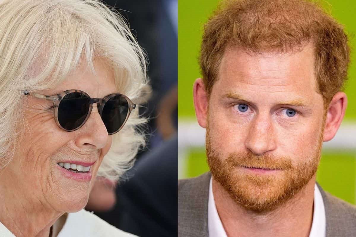 princ hari kamila parker 0747950079-min.jpg