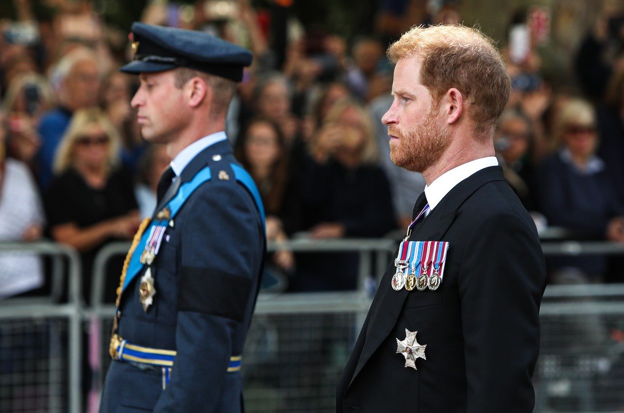 Hari o deci brata Vilijama