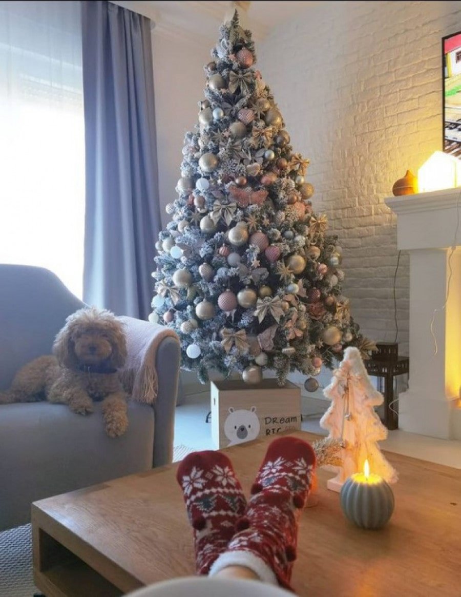 natasa bekvalac stan 4-min.jpg