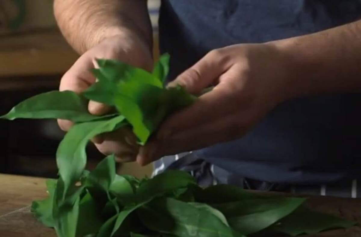 Sremuš ublažava kašalj