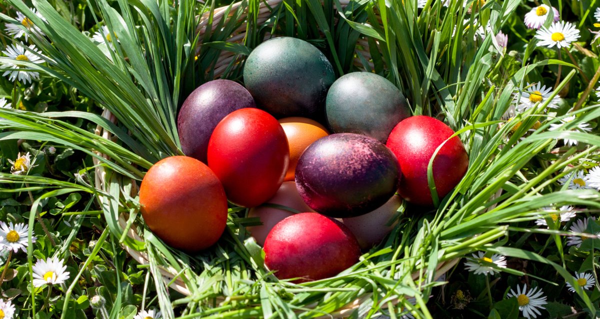 Ljuska od jaja za cveće