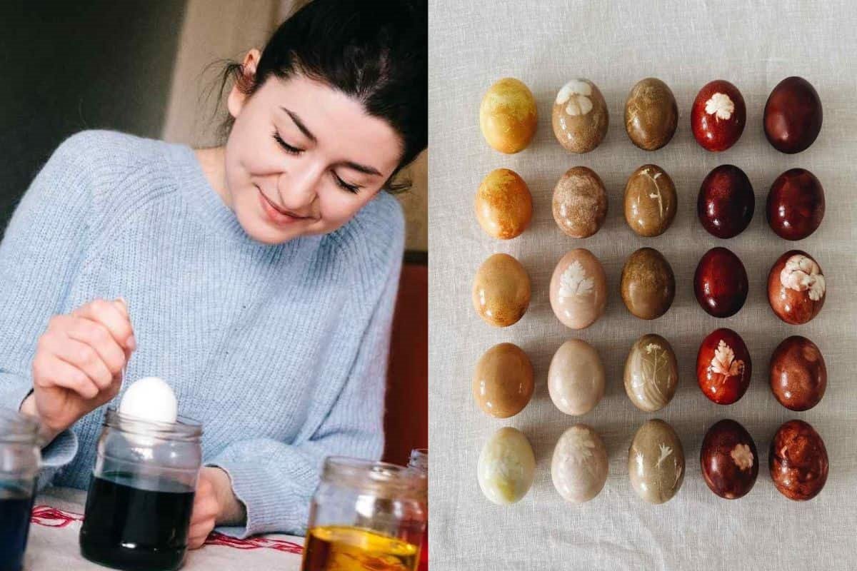 prirodno farbana jaja-min.jpg