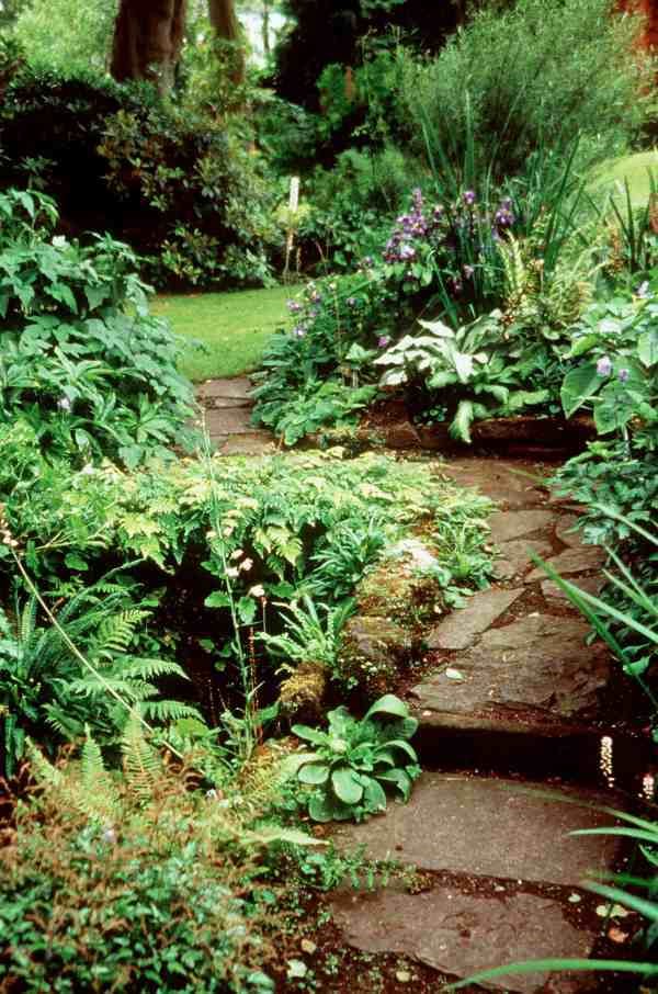 Seoski vrt na ivici šume