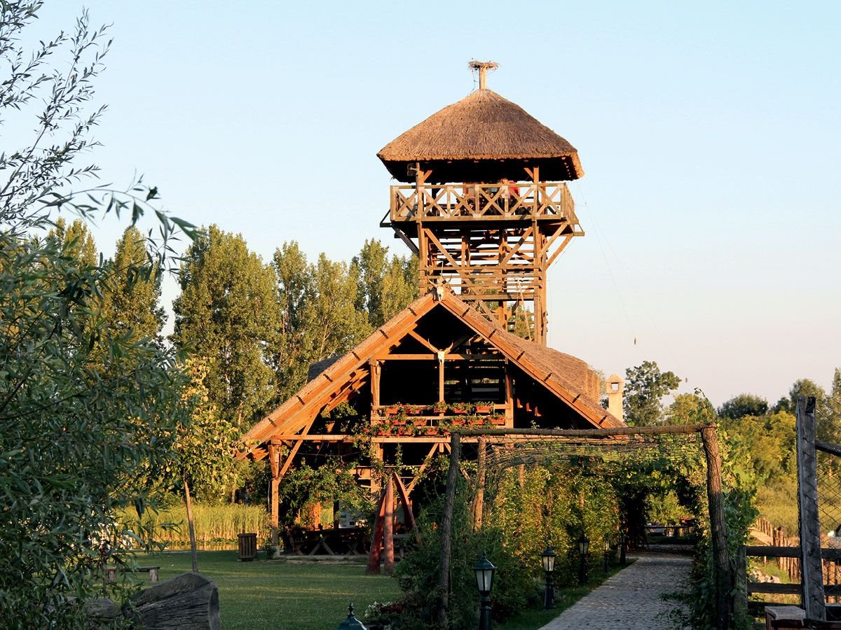 Zasavica_foto Miša Vukotić.jpg