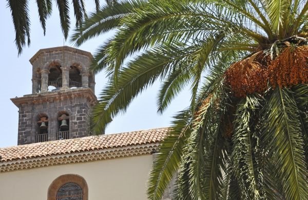 Ostrvo cveća Tenerife