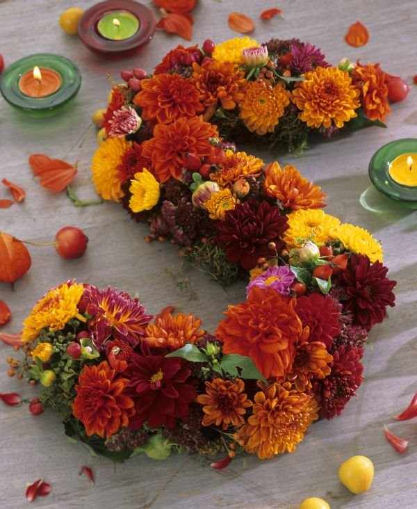 Kako da produžite život hrizantemama: simbol bogatstva u vašoj bašti