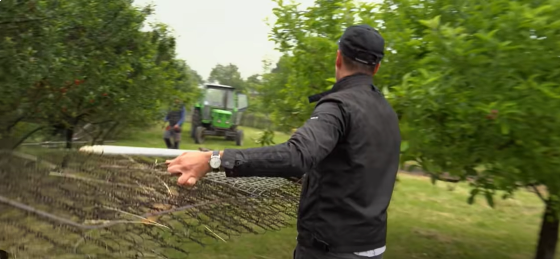 Screenshot 2024-01-12 103927.png