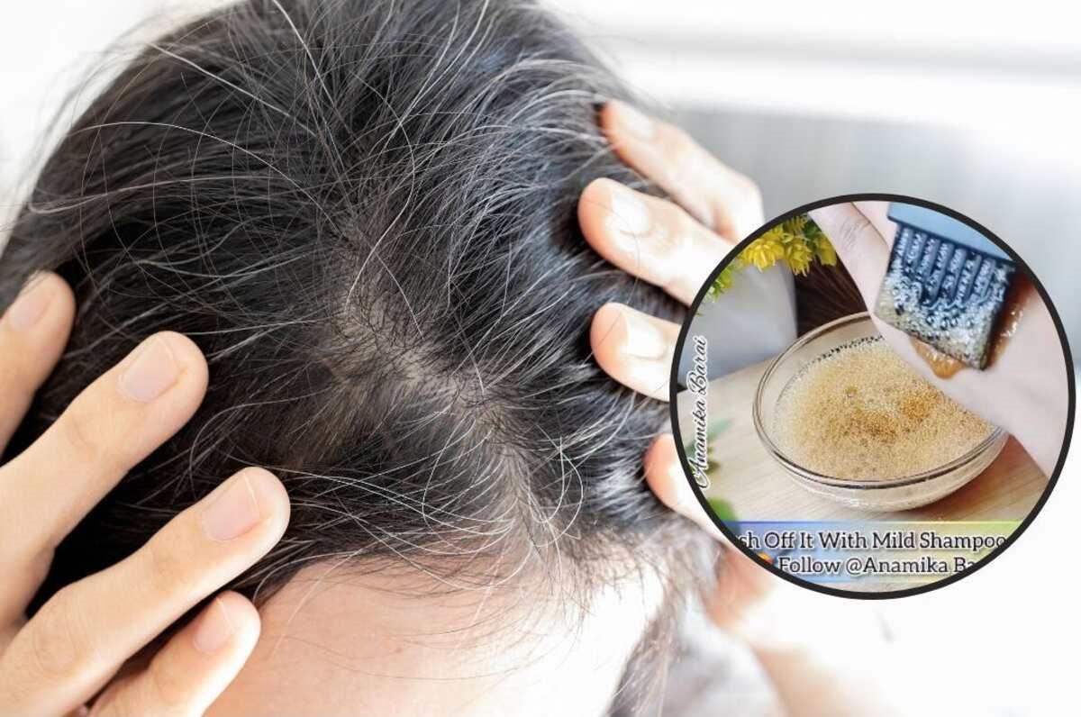 prirodno farbanje sede kose.jpg