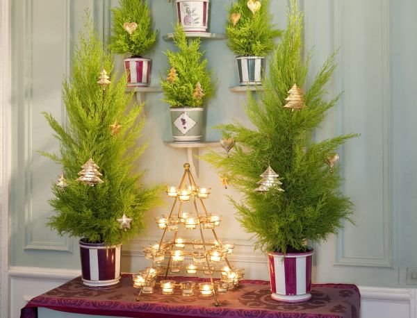 Mini jelka za mali stan