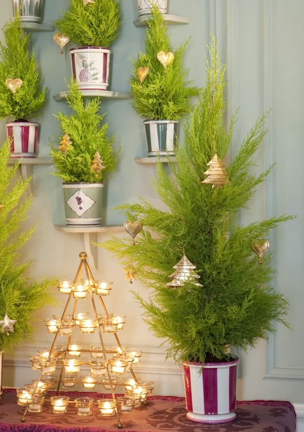 Mini jelka za mali stan