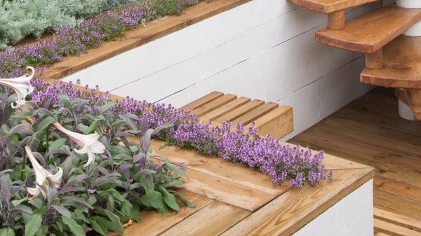 Mini vrt sa kaskadama