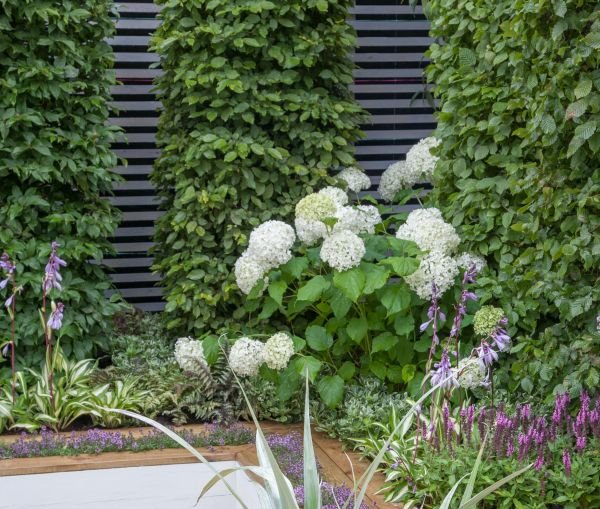 Mini vrt sa kaskadama