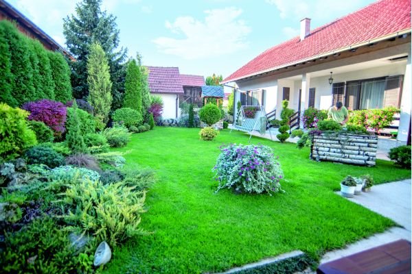 Najlepša bašta u Srbiji 2013. godine - Novi Banovci