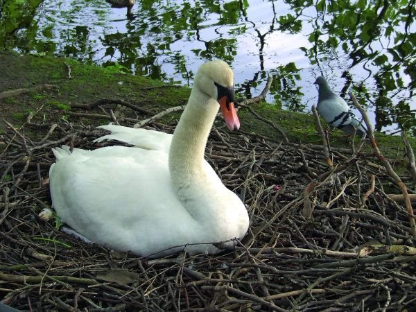 Bajkoviti park dvorca Benrat