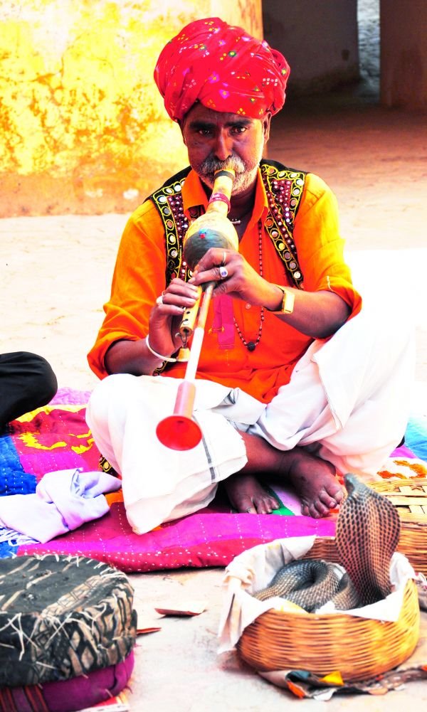 Džajpur, ružičasti grad