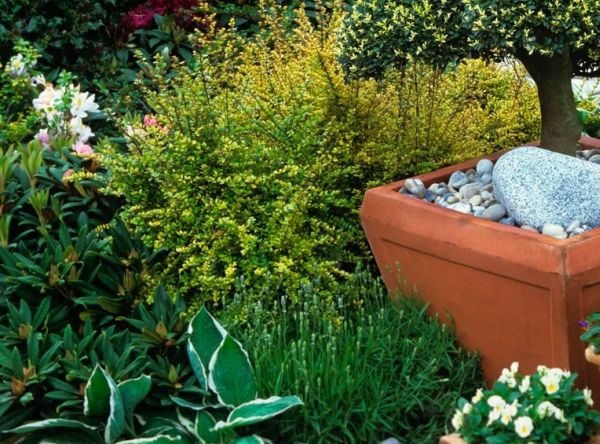 Baštenski raj za šahiste