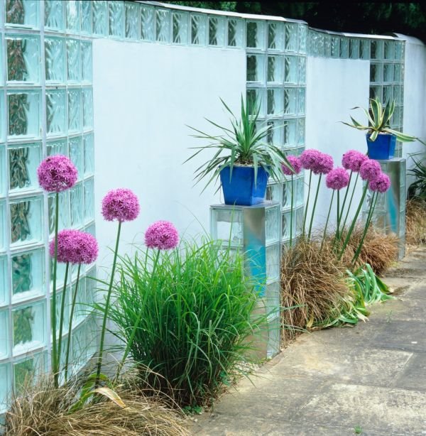 Moderan vrt za gradske baštovane