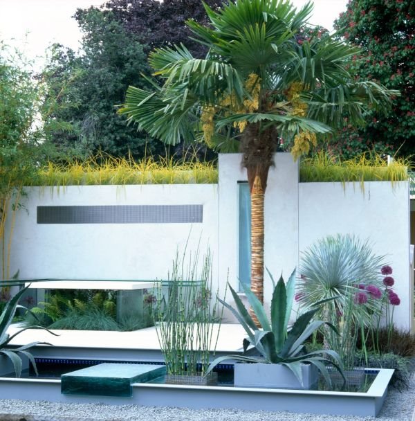 Moderan vrt za gradske baštovane