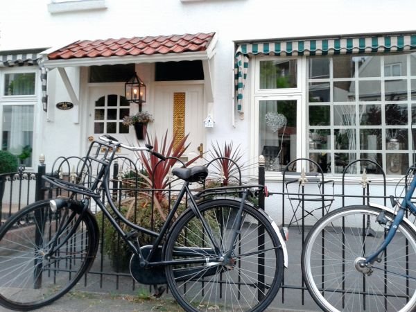 Zašto volimo holandske bašte