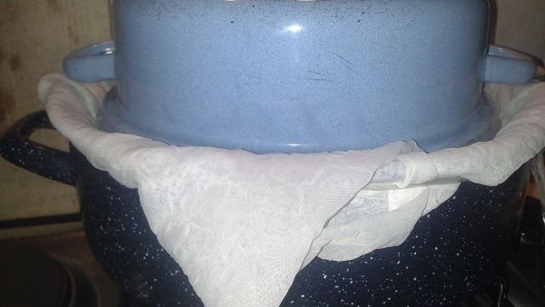 Lisina kuvarica: parene buhtle