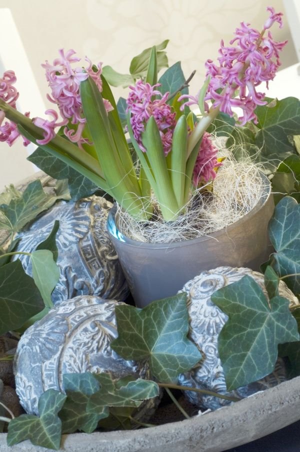 7 najlepših aranžmana sa zumbulima