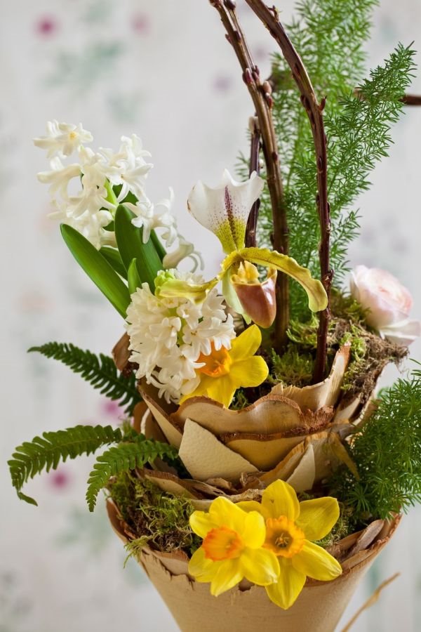 10 najlepših aranžmana sa narcisima