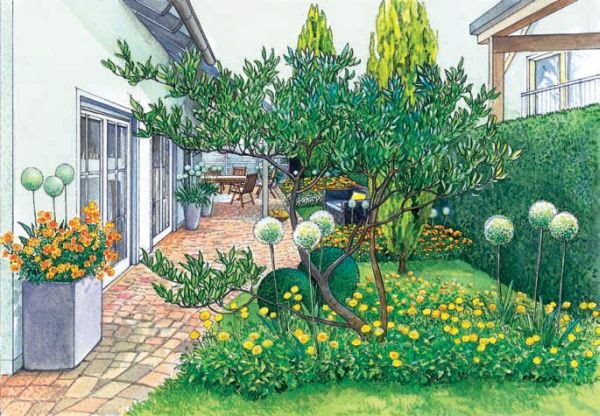 Kako urediti usko dvorište iza kuće