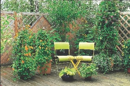 Crvena - boja energije