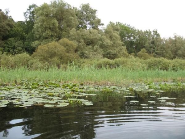 "Viki voli zemlju": upoznajmo prirodna bogatstva Srbije (FOTO)