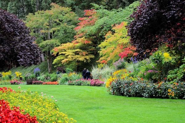 Čaroban porodični vrt koji je postao nacionalni park u Kanadi