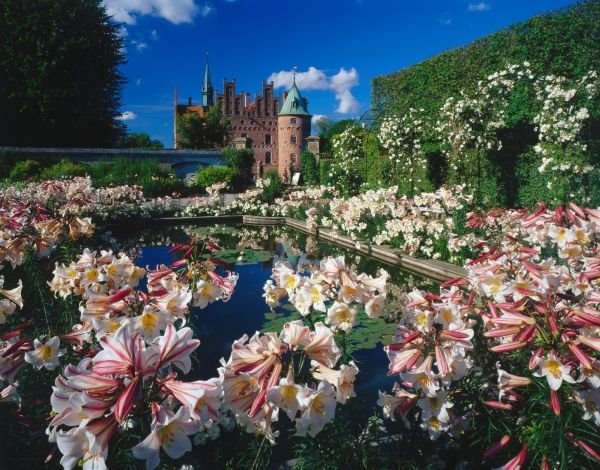 FIN: ostrvo iz bajke za savremene princeze (FOTO)