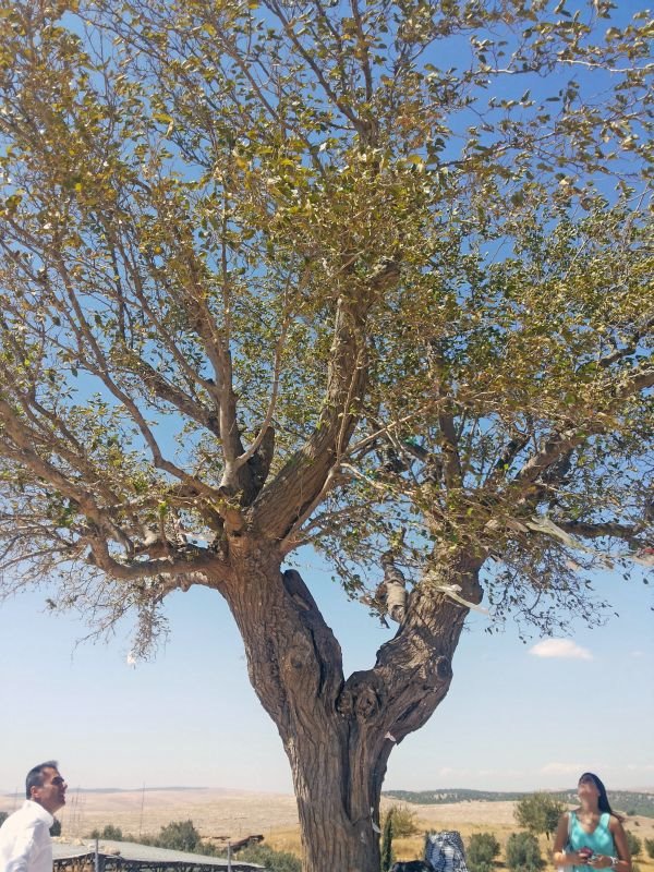 MARDIN: grad koji smo zavoleli zbog Sile