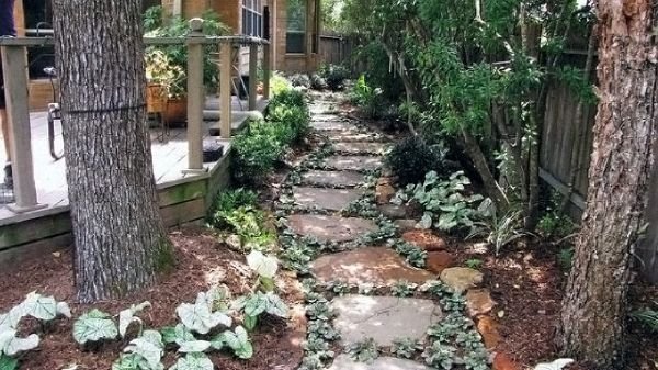 Najlepše ideje za staze u vrtu