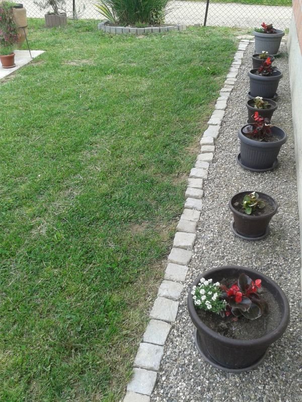 Vaše bašte, maj 2015:  dvorišta za primer vrednih baštovana Dragane Dimitrijević, Dragoljuba Ćalića i Nikole Božića